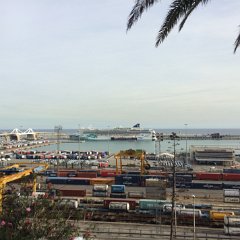 IMG 333